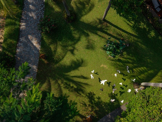 dji-20250807151546-0080-d-1759207282.jpg