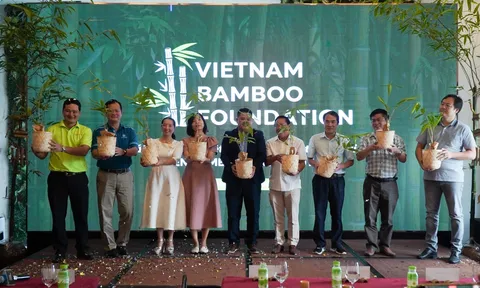 TP.HCM: Ra mắt Quỹ Phát triển Tre Việt và chính thức giới thiệu sáng kiến “Lũy Tre Làng”