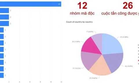 LockBit - băng đảng mã độc tống tiền hoành hành ở Việt Nam