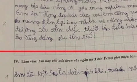 Cô giáo ra đề làm văn giới thiệu bản thân, bé tiểu học viết 4 từ khiến giáo viên câm nín