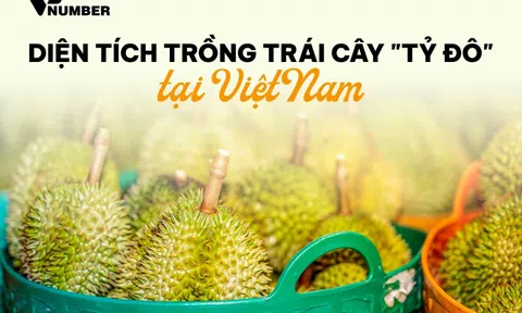 Bản đồ tỷ đô: Loại sản vật trời ban cho riêng Đông Nam Á giúp Việt Nam thu 3,3 tỷ USD, tỉnh nào đang là ‘thủ phủ’?