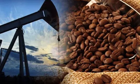 Thị trường ngày 30/1: Giá dầu và vàng quay đầu giảm, cà phê arabica đạt kỷ lục trên 3,6 USD/lb