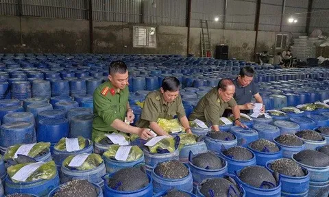 Làm 3.500 tấn giá đỗ ngâm hóa chất cấm rồi bán cho người dân