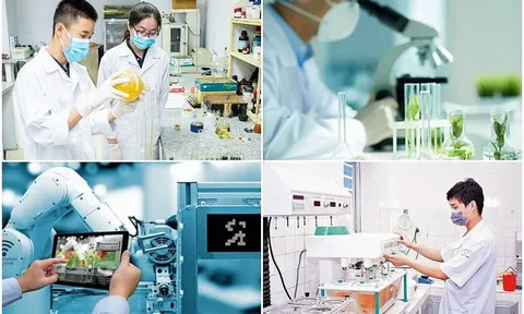 Ban hành khung hướng dẫn phát triển KHCN, đổi mới sáng tạo, chuyển đổi số
