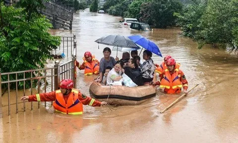 Một sai sót nhỏ có thể khiến dịch bệnh bùng phát sau bão