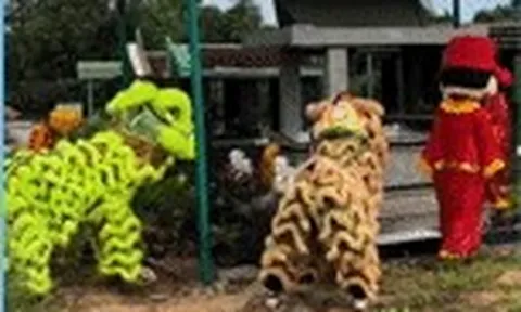 Người cha ở Gia Lai thuê múa lân trước mộ con trai 3 tuổi, dân mạng rưng rưng