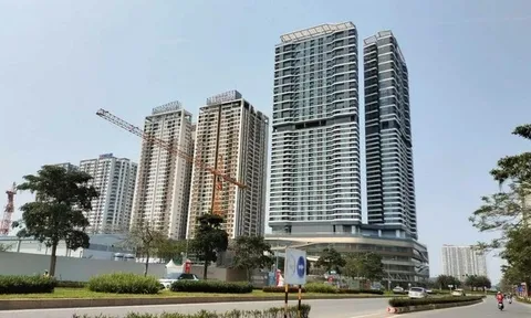 Đề xuất tổ chức, cá nhân cung cấp thông tin về nhà, đất sở hữu