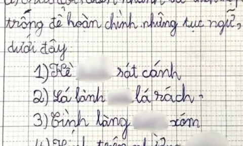 Cô giáo yêu cầu điền thành ngữ "lá lành..., tình làng...", loạt đáp án học sinh đưa ra khiến phụ huynh đỏ mặt