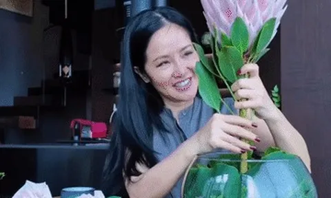 Diva Hồng Nhung tuổi 55 trẻ trung, NSND Lan Hương hạnh phúc bên chồng