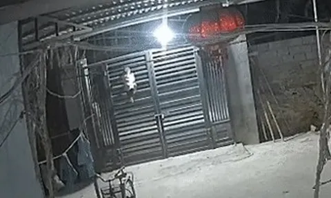 Thót tim cảnh bé trai 2 tuổi trèo cổng cao 2m ở Thanh Hóa