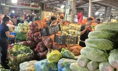 Giá rau, trái cây ở chợ đầu mối bắt đầu rẻ