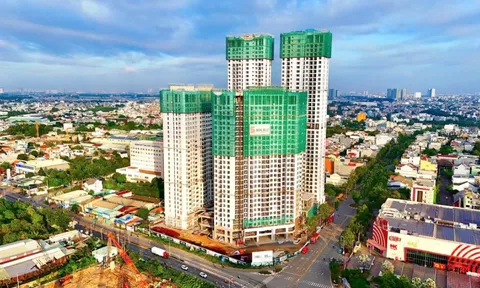 Chung cư 'mọc' dày đặc, người trẻ TP.HCM vẫn xa giấc mơ an cư