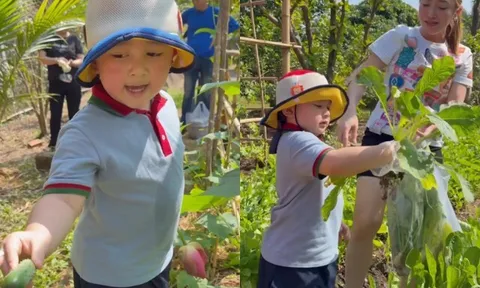 Ở biệt thự rộng 1600m2, học trường quốc tế, “tiểu thiếu gia” nhà Chi Bảo vẫn quần đùi áo thun làm vườn dù mới 3 tuổi