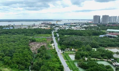 Văn Phú đưa dấu ấn “vị nhân sinh” vào không gian phát triển mới của Phú Thuận