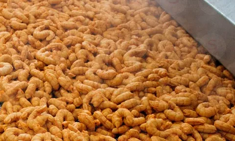 Một mặt hàng ‘ngon bổ rẻ’ của Việt Nam được EU cực kỳ ưa chuộng: xuất khẩu tăng gần 100%, Trung Quốc cũng tích cực săn đón