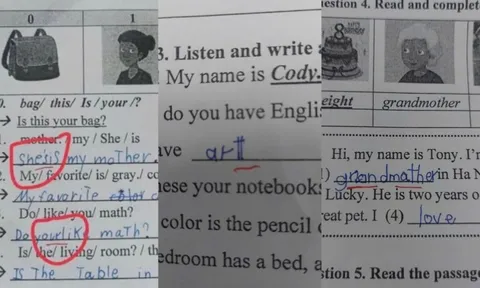 Vụ giáo viên sửa bài, hạ điểm học sinh: Lằn ranh đạo đức nghề giáo