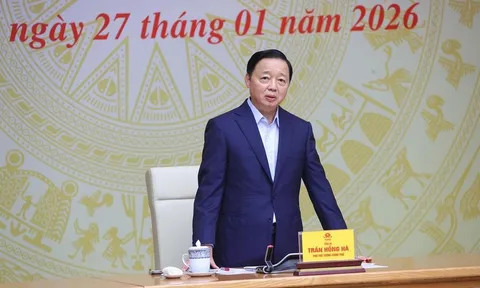 Phó Thủ tướng giao Bộ Công an xử lý gian lận nguồn gốc hải sản