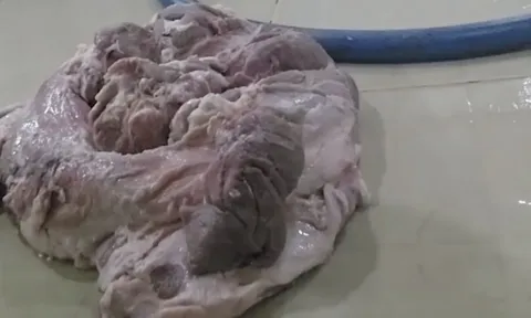 Nhiều trường ở TP.HCM tạm dừng ăn bán trú