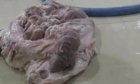 Học sinh TP.HCM phải dừng bán trú vì thực phẩm bẩn đến khi nào?