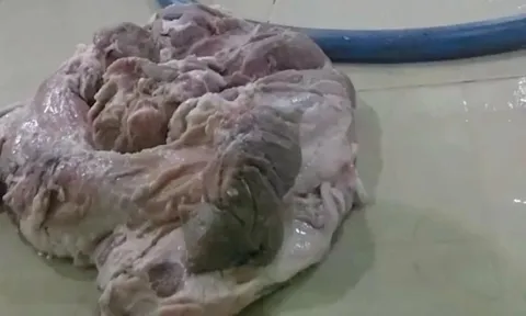 Vụ nghi thịt bẩn tuồn vào trường học: Sở ATTP TP.HCM lên tiếng