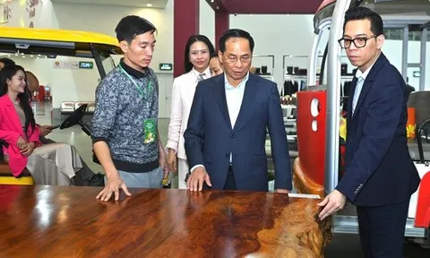 Ngắm phản gỗ quý Cẩm Lai ngàn năm tuổi nặng 6 tấn, giá trị hàng tỉ đồng