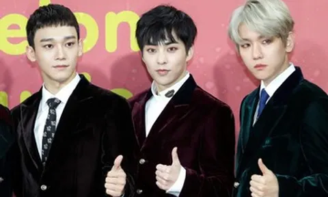 3 ca sĩ nổi tiếng bị phong tỏa hơn 46 tỷ đồng tài sản