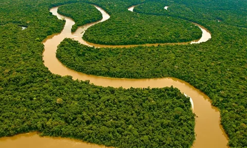 Tại sao không có cây cầu nào bắc qua sông Amazon?