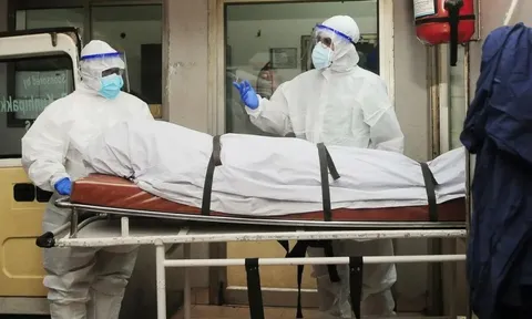 Virus Nipah tử vong tới 75%: Hướng dẫn điều trị mới nhất