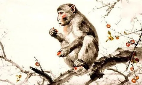 Tử vi tuổi Thân 2026 chi tiết từng năm sinh