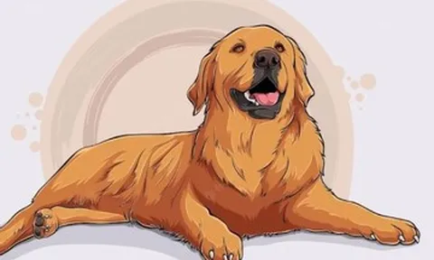 Tử vi tuổi Tuất năm 2026: Thành công và may mắn trên mọi phương diện