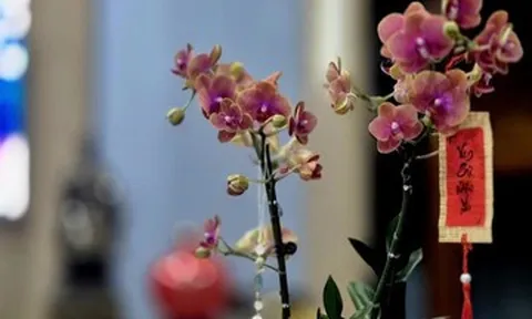 Sau Tết, điều còn đọng lại là gì?