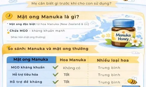 Loại mật ong có giá cao gấp nhiều lần mật ong thường, vì sao nhiều mẹ vẫn chọn cho con ngày Tết?