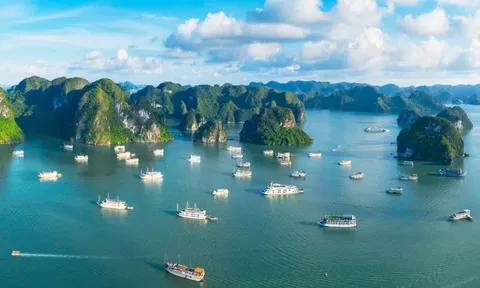 Nhà đầu tư đón cơ hội vàng ở Đặc khu kinh tế thế hệ mới Vân Đồn