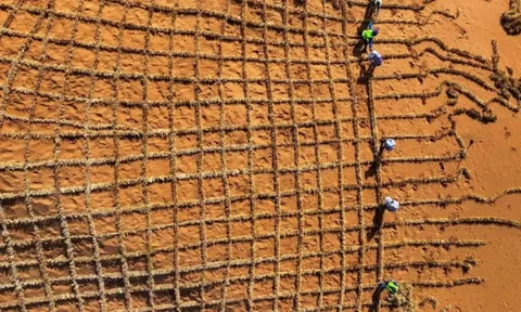 Phát minh chưa từng có trên thế giới của Trung Quốc: biến sa mạc thành đất màu mỡ chỉ trong 10 tháng, hiệu quả cao nhưng chi phí thấp