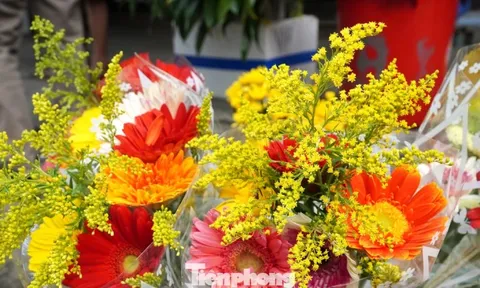 Dậy từ tờ mờ sáng đi mua loại hoa chỉ nghe tên đã nghĩ đến... tiền