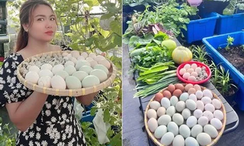 Mẹ đảm Đồng Nai nuôi gà, chim cút, trồng vườn rau xanh mướt trên sân thượng