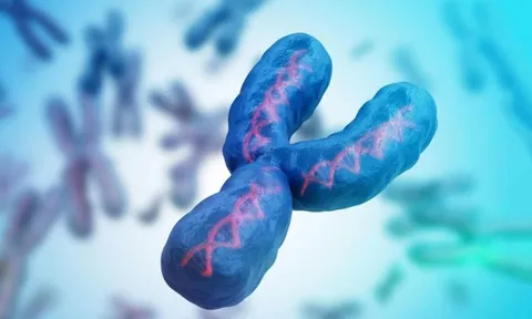 Nam giới đang mất dần nhiễm sắc thể Y