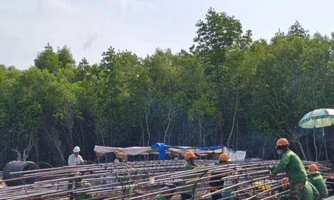 Tiến độ thi công cao tốc về Đất Mũi và cầu vượt biển ra đảo Hòn Khoai