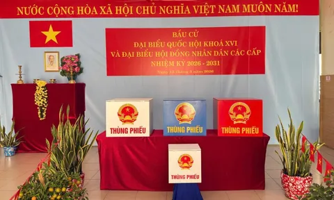 TPHCM kiện toàn nhân sự 13 ban bầu cử đại biểu Quốc hội