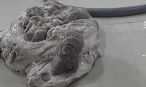 7 trường học ở TP.HCM sử dụng suất ăn do Sago Food cung cấp