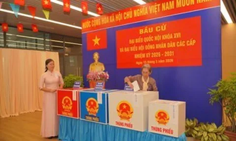 Tỉ lệ cử tri đi bầu cử của TPHCM đạt 96,67%