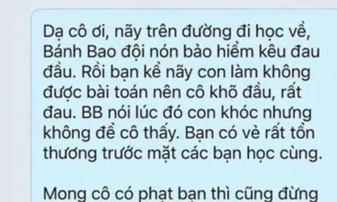 Con đi học về kêu đau vì bị cô phạt gõ đầu, đoạn tin nhắn của mẹ Việt khiến dân mạng tranh cãi