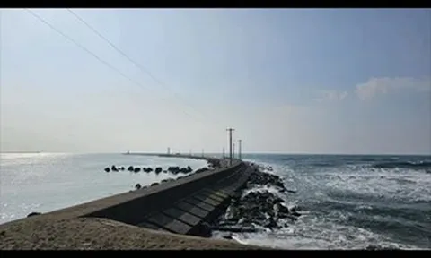 8 người Việt gặp nạn tại Nhật Bản, 1 người tử vong, 3 người mất tích