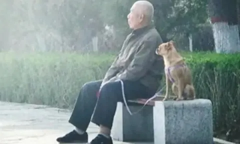 Về hưu, người nhiều tiền sống không sướng bằng người lương hưu thấp nhưng biết "kín miệng" trong những việc này