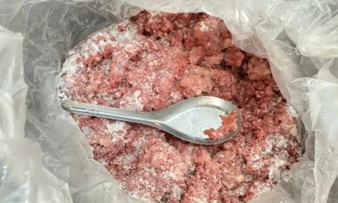 Trường cho trẻ ăn thịt lợn nhiễm dịch tả: Tạm đình chỉ hiệu trưởng