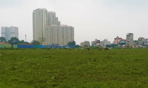 Hoàn thiện cơ chế phân cấp trong quản lý đất đai: Tăng tính chủ động cho địa phương