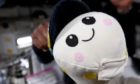 Cậu bé 8 tuổi tạo gấu bông chỉ báo không trọng lực trên tàu Artemis II