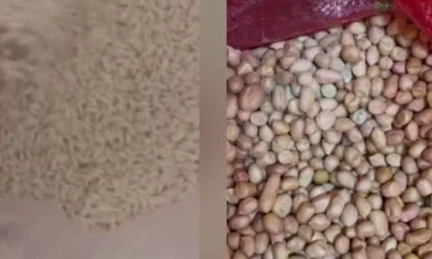 Hiệu trưởng bị đình chỉ vì xuất hiện nhiều túi lạc mốc trong bếp ăn