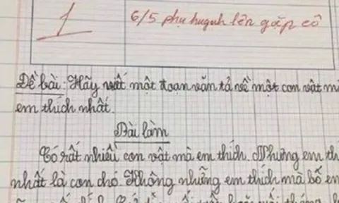 Bé tiểu học viết văn tả con vật yêu thích, cô giáo đọc xong liền mời phụ huynh đến trường