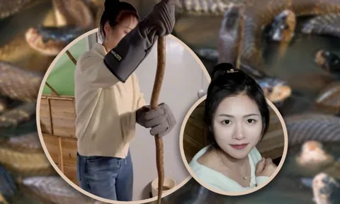 Cô gái tốt nghiệp đại học về quê nuôi 60.000 con rắn độc, kiếm tiền tỷ